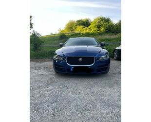 Jaguar XE Gebrauchtwagen