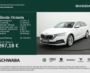 Skoda Octavia Gebrauchtwagen
