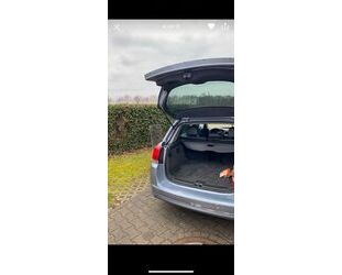 Opel Signum Gebrauchtwagen