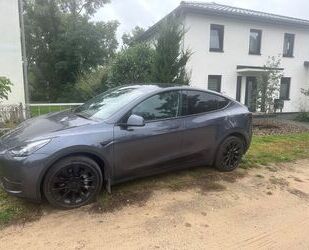 Tesla Model Y Gebrauchtwagen