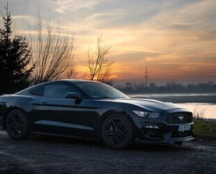 Ford Mustang Gebrauchtwagen