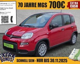 Fiat Panda Gebrauchtwagen