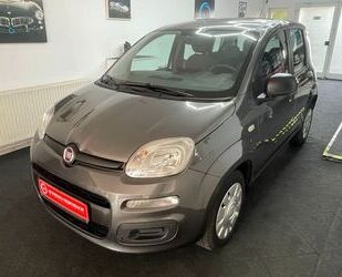 Fiat New Panda Gebrauchtwagen