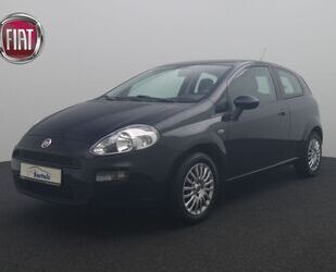 Fiat Punto Gebrauchtwagen