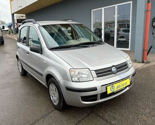 Fiat Panda Gebrauchtwagen