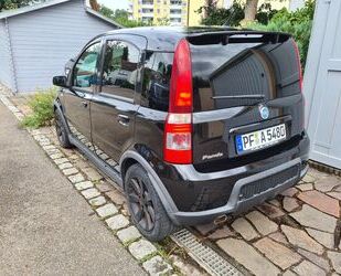 Fiat Panda Gebrauchtwagen