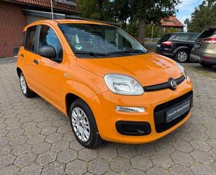 Fiat Panda Gebrauchtwagen