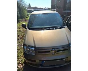 Fiat Panda Gebrauchtwagen