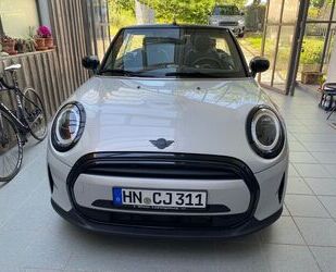 Mini Cooper Cabrio Gebrauchtwagen