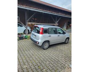 Fiat Panda Gebrauchtwagen