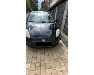 Fiat Punto Gebrauchtwagen