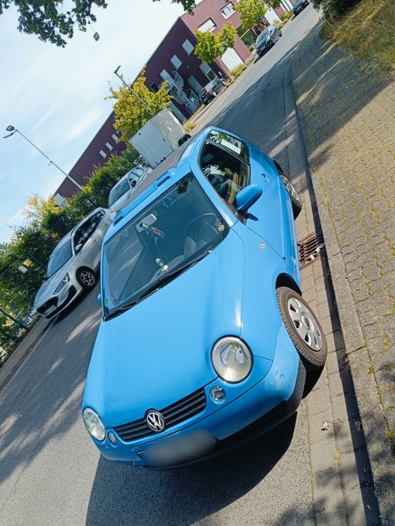 Bild 1