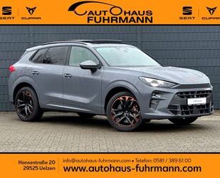 Cupra Terramar Gebrauchtwagen