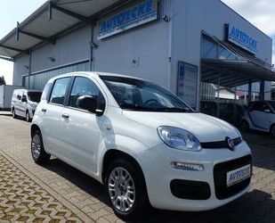 Fiat Panda Gebrauchtwagen