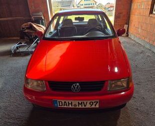 VW Polo Gebrauchtwagen