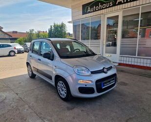 Fiat Panda Gebrauchtwagen
