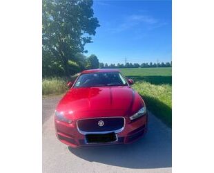 Jaguar XE Gebrauchtwagen