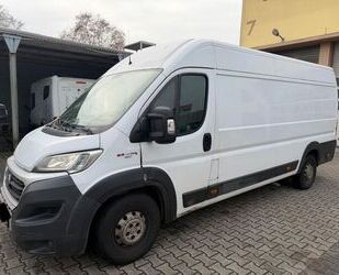 Fiat Ducato Gebrauchtwagen