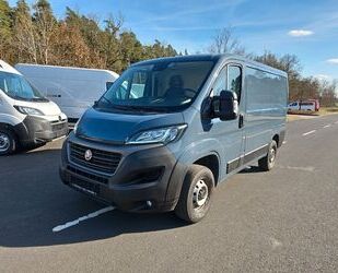 Fiat Ducato Gebrauchtwagen