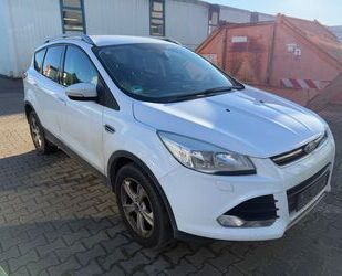 Ford Kuga Gebrauchtwagen