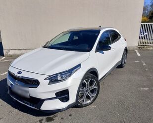 Kia XCeed Gebrauchtwagen