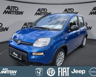 Fiat Panda Gebrauchtwagen