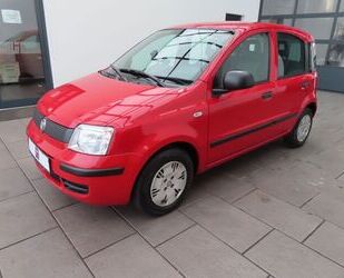 Fiat New Panda Gebrauchtwagen