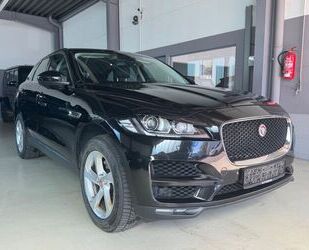 Jaguar F-Pace Gebrauchtwagen