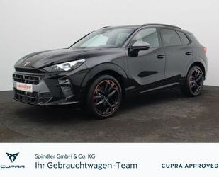 Cupra Terramar Gebrauchtwagen