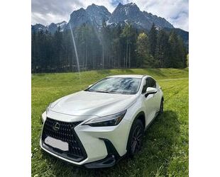 Lexus NX 350h Gebrauchtwagen