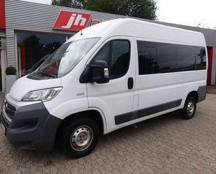 Fiat Ducato Gebrauchtwagen