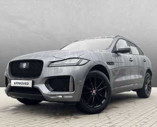 Jaguar F-Pace Gebrauchtwagen