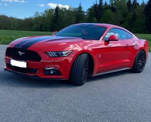 Ford Mustang Gebrauchtwagen