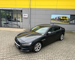 Jaguar XE Gebrauchtwagen