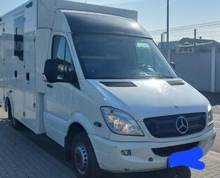 Mercedes-Benz Sprinter Gebrauchtwagen