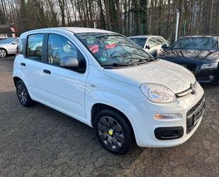 Fiat Panda Gebrauchtwagen