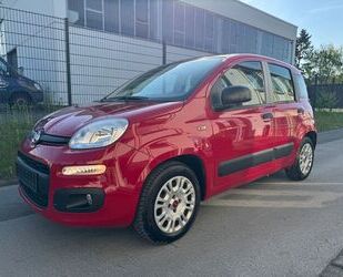 Fiat Panda Gebrauchtwagen