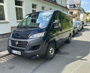 Fiat Ducato Gebrauchtwagen