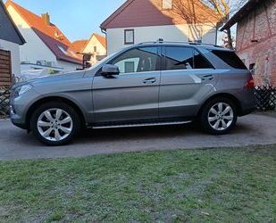Mercedes-Benz ML 250 Gebrauchtwagen