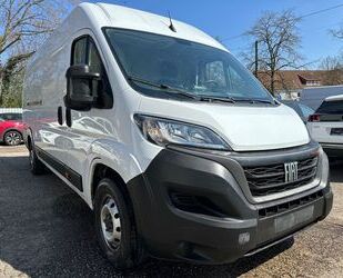Fiat Ducato Gebrauchtwagen