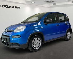 Fiat Panda Gebrauchtwagen