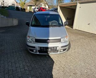 Fiat Panda Gebrauchtwagen