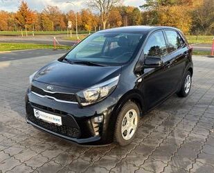 Kia Picanto Gebrauchtwagen
