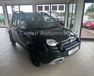 Fiat Panda Gebrauchtwagen