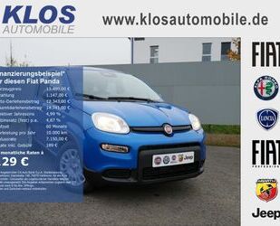 Fiat Panda Gebrauchtwagen
