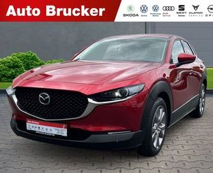 Mazda CX-30 Gebrauchtwagen