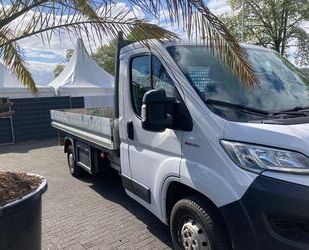 Fiat Ducato Gebrauchtwagen