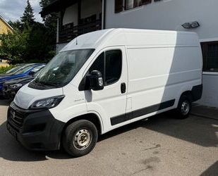 Fiat Ducato Gebrauchtwagen