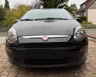 Fiat Punto Gebrauchtwagen