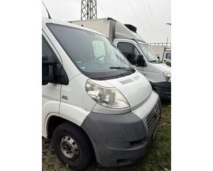 Fiat Ducato Gebrauchtwagen